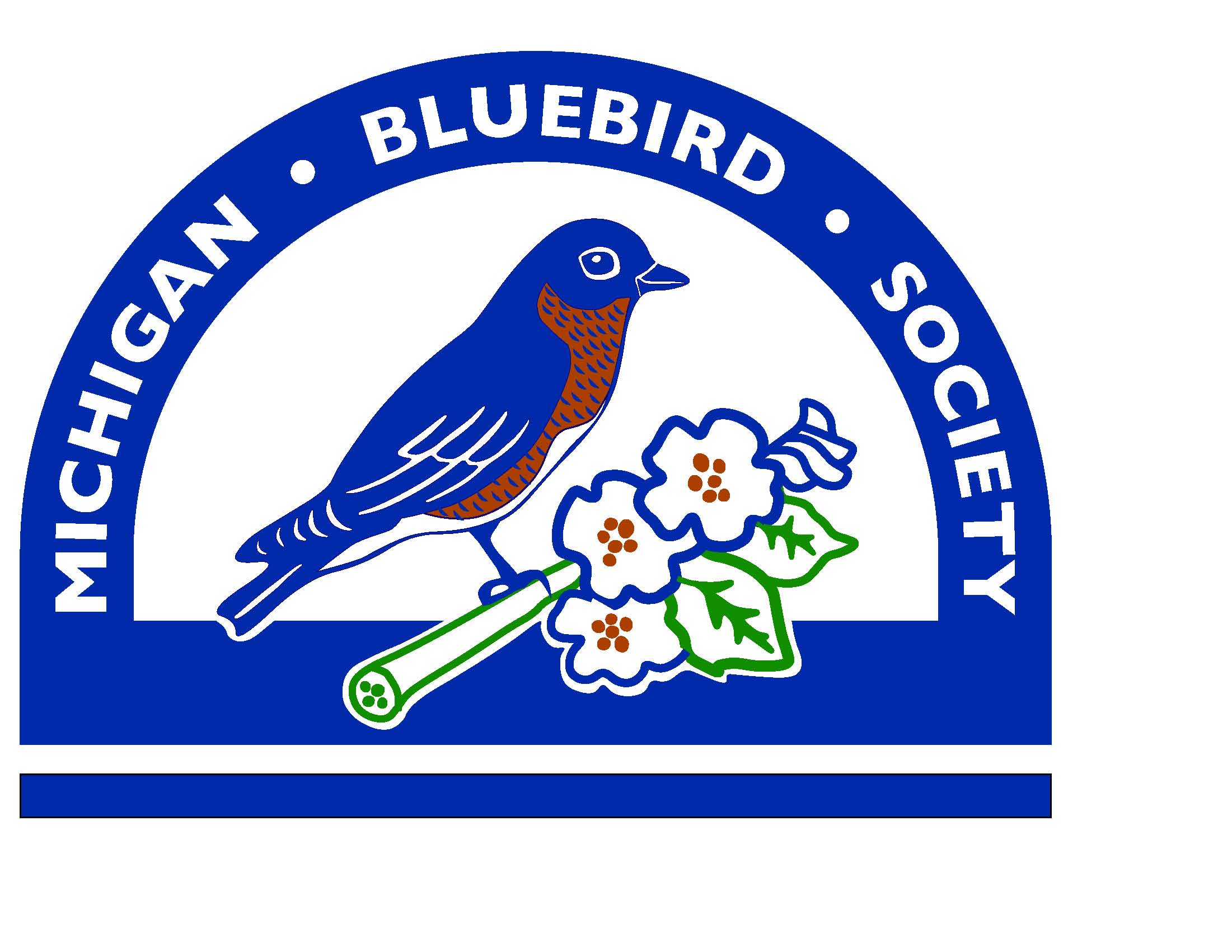 mbs_logo_color 2